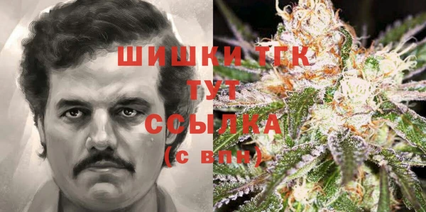 apvp Яровое